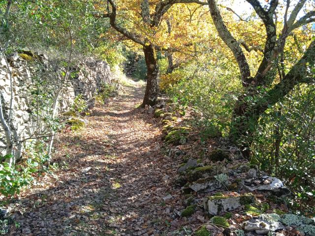 Mon chemin