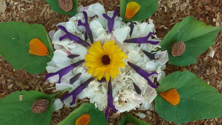 Mandela de fleurs 2