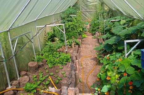 Notre serre fabriqué par Thierry