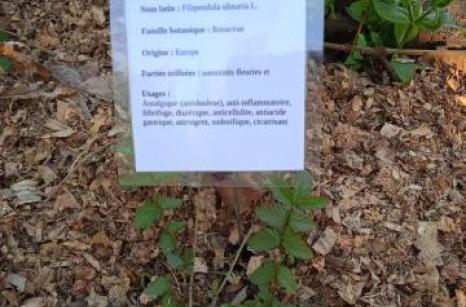 Reine de près Ettiquette