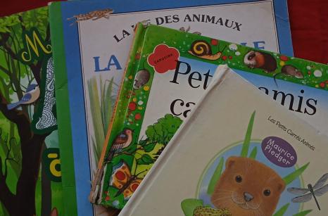 Livres pour plus jeunes