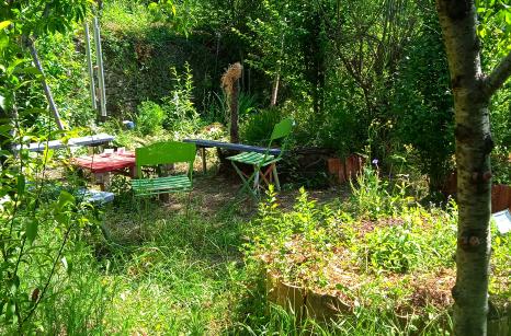 Jardin médicinale mai 2023