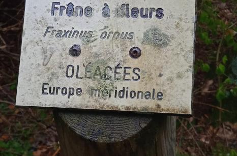 Parcour botanique