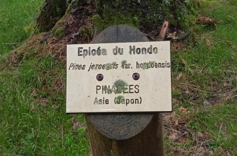 Parcour botanique