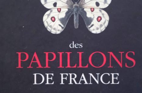 Guide papillion