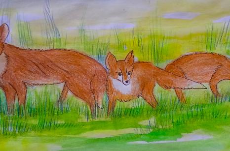 Renard
