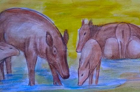 Sanglier