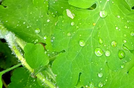Waterdrops 3